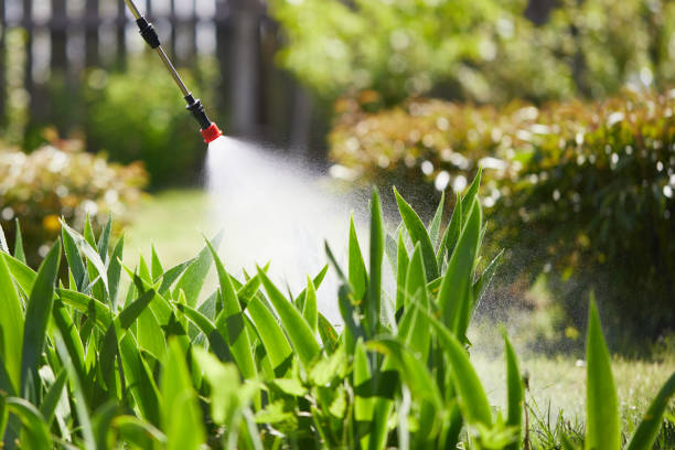 24/7 Emergency Mosquito Control experts in Edgewood, KY